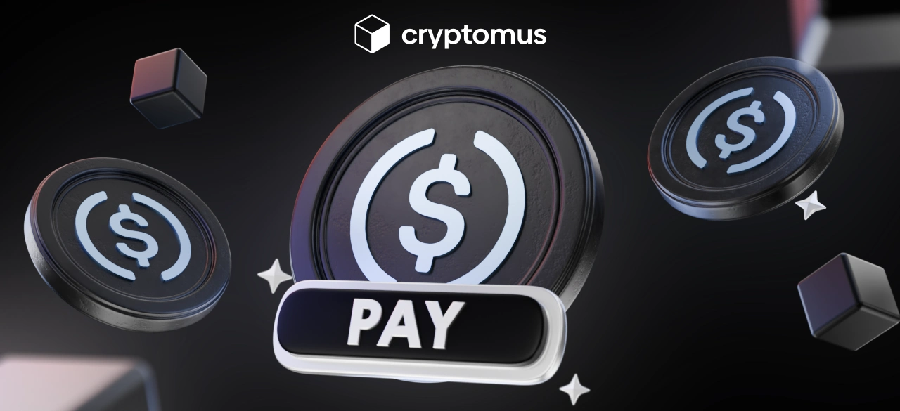 USDC 支払い: USDC で支払う方法