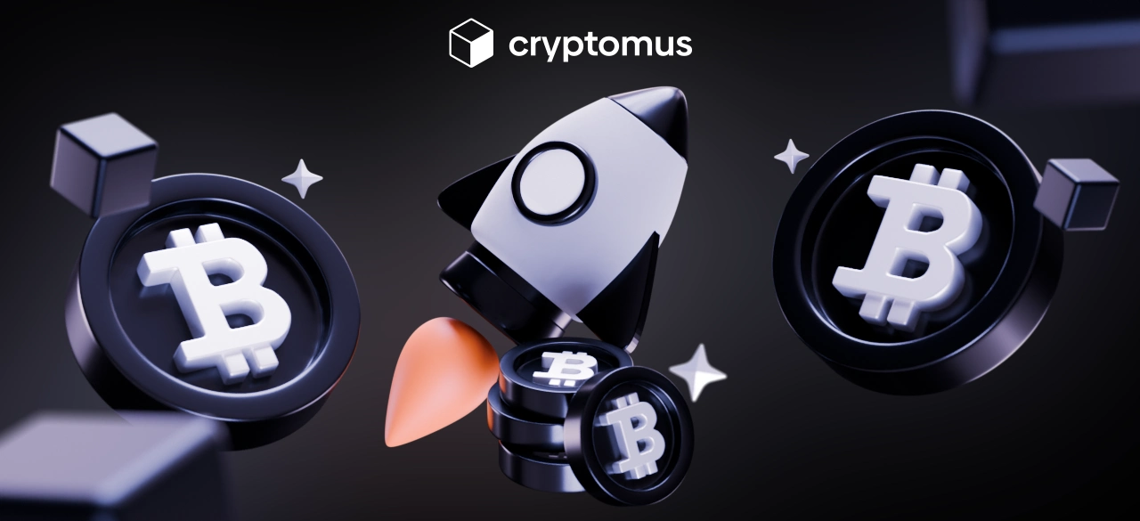 Was ist ein FDV bei Kryptowährungen?