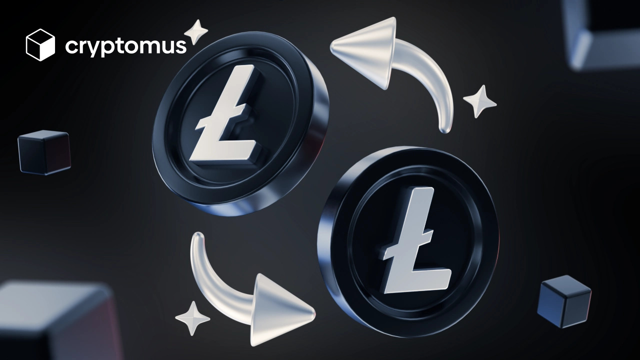 Litecoin (LTC) Транзакциялары