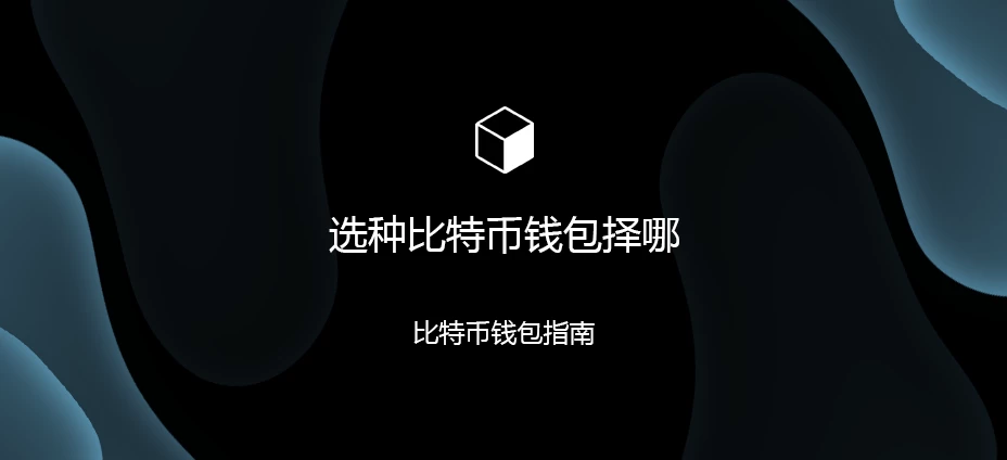 选择哪种比特币钱包:比特币钱包指南