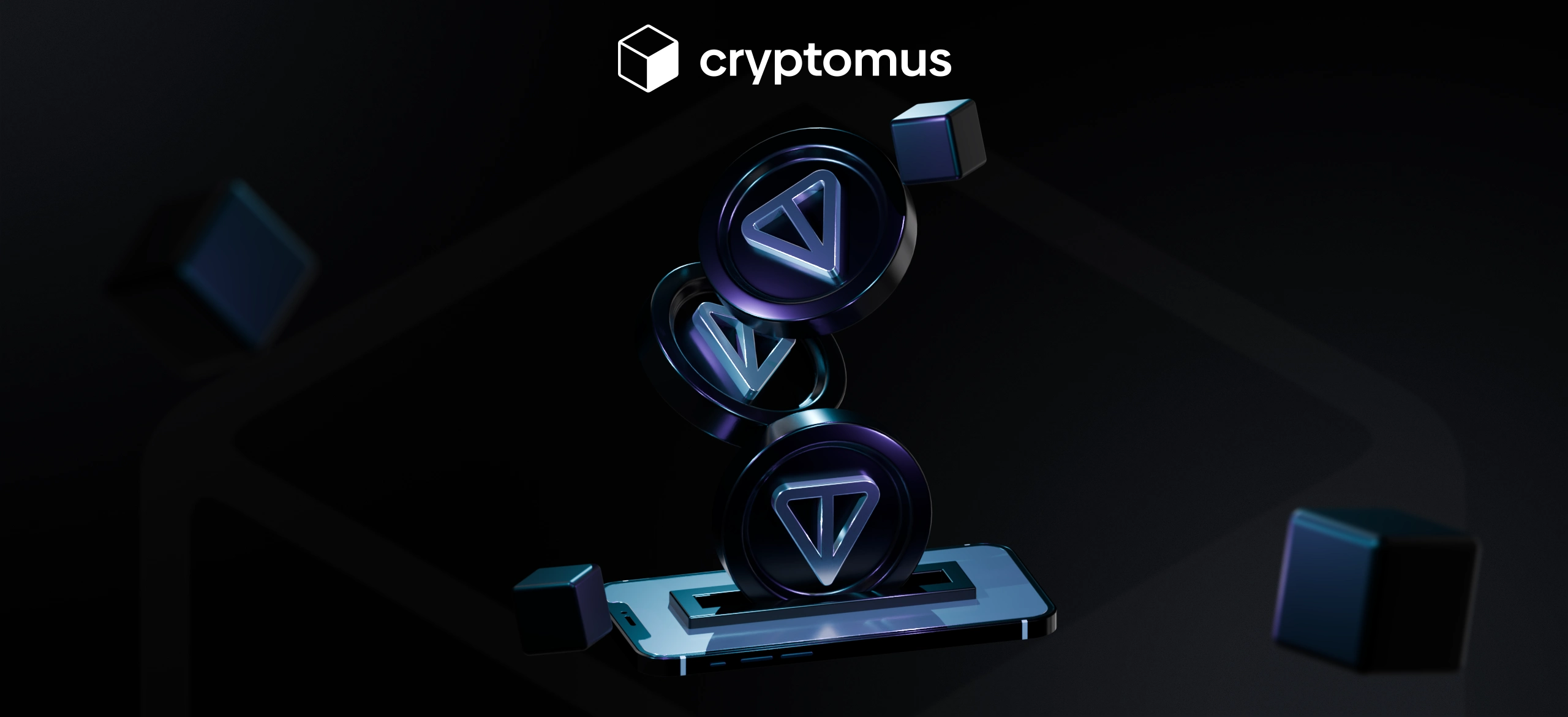 Toncoin (TON) Ödemelerini Nasıl Kabul Edersiniz