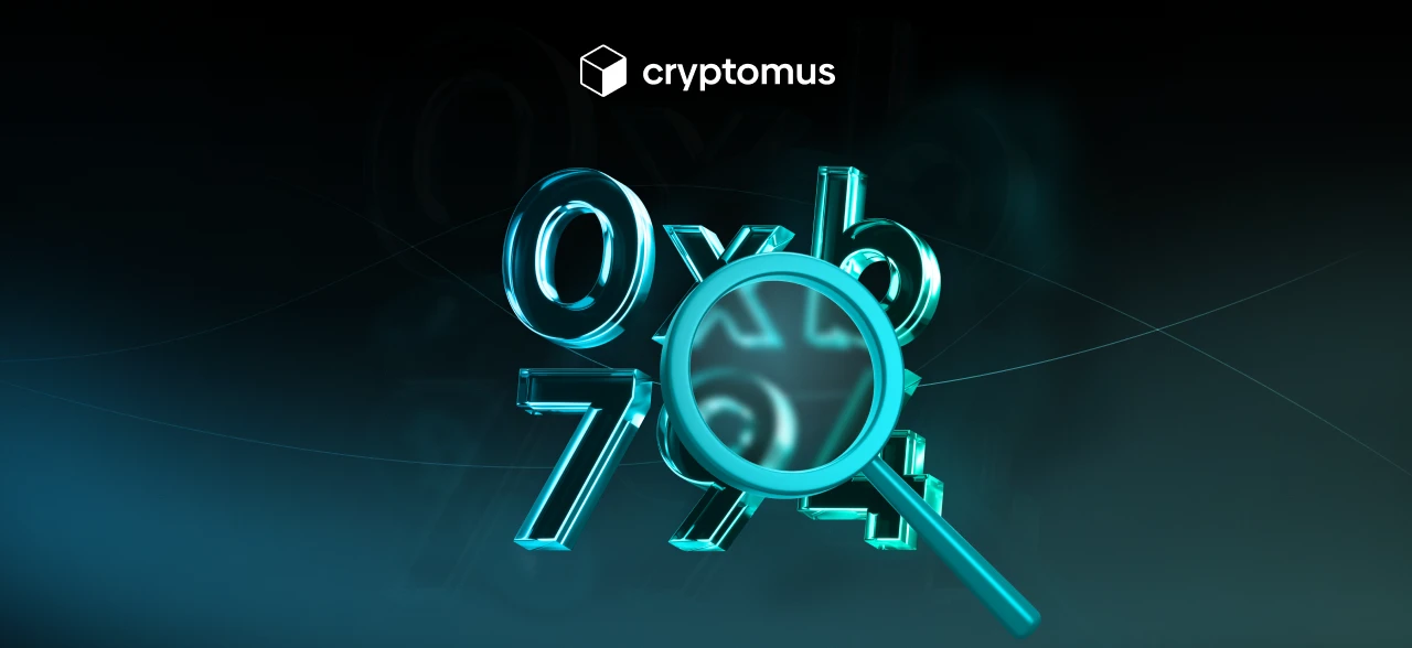 什么是钱包地址以及如何找到它？