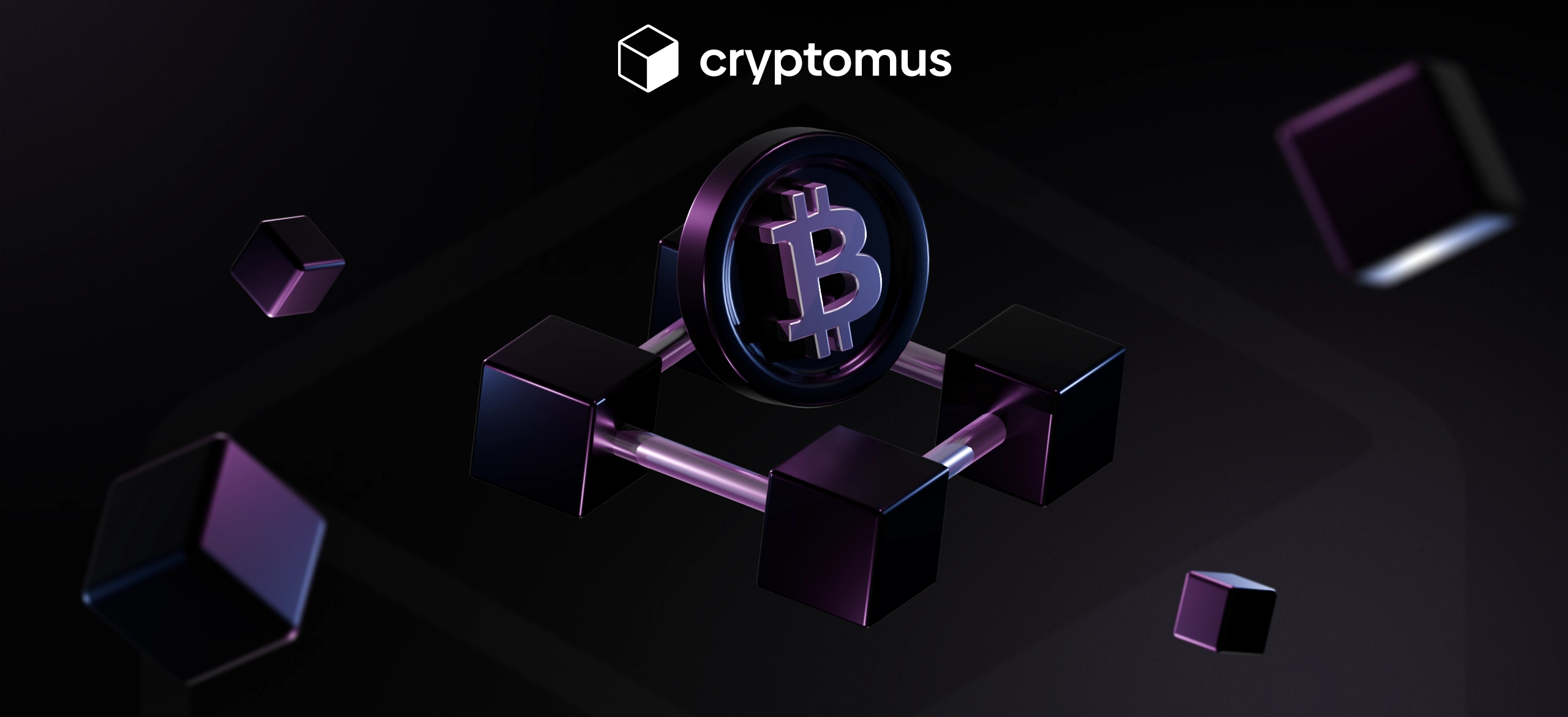 Ist Bitcoin dezentralisiert oder zentralisiert?