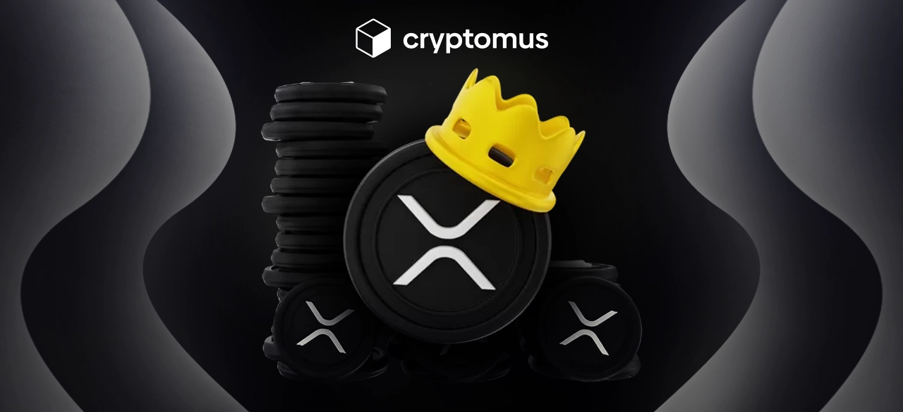 Phương thức thanh toán Ripple: Cách chấp nhận XRP cho doanh nghiệp