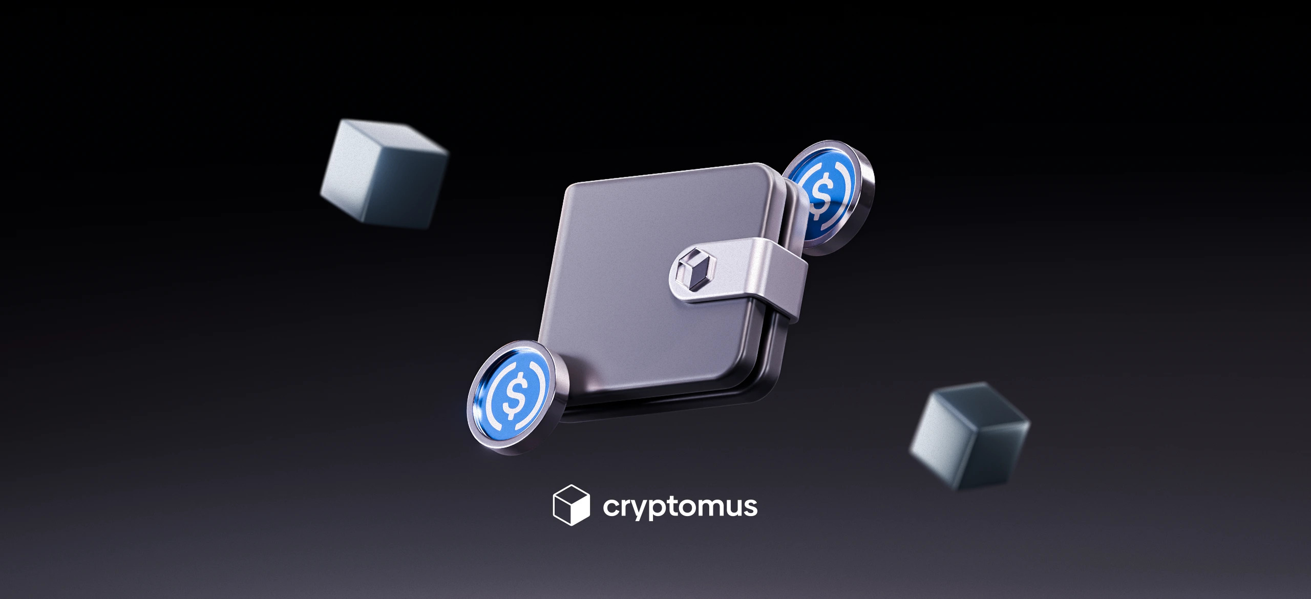 أفضل 5 محافظ USDC