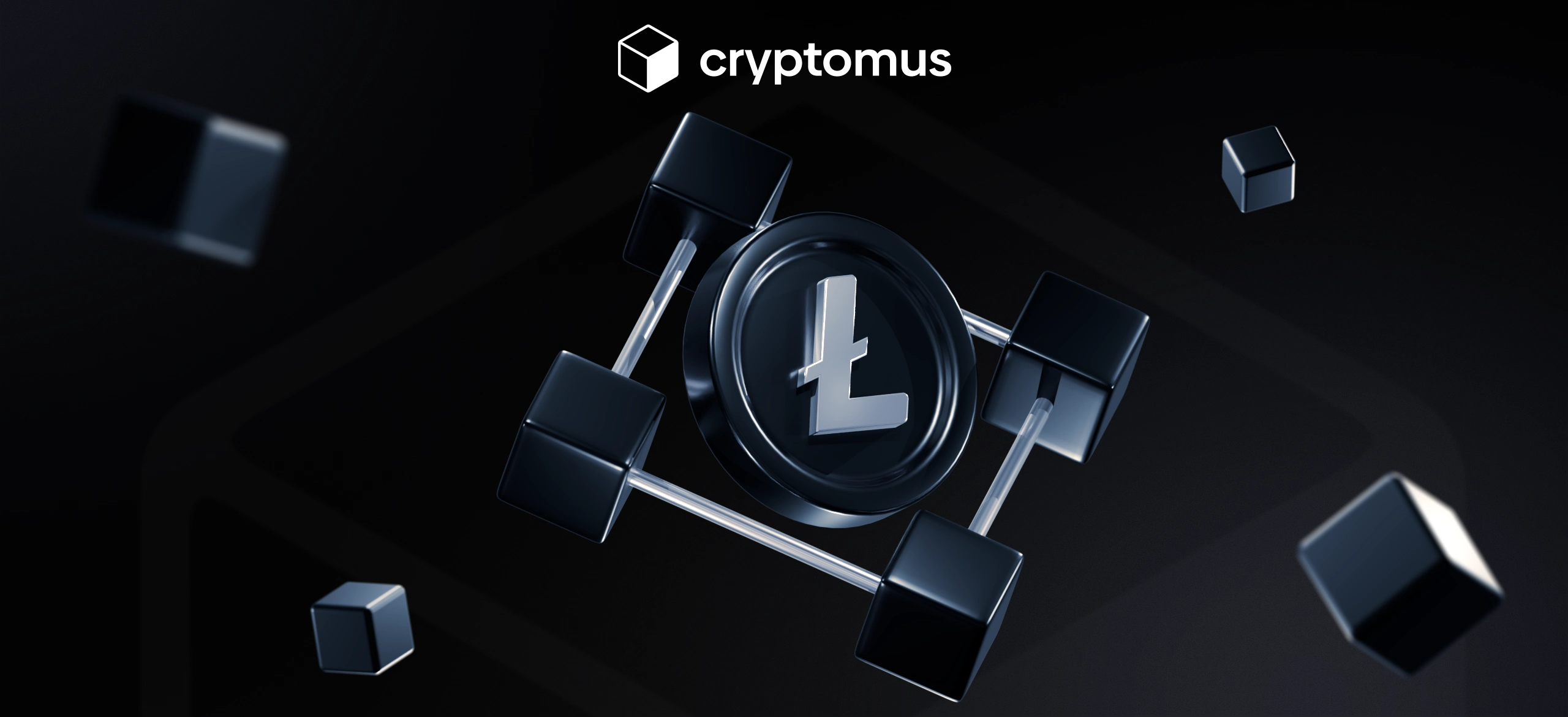 ¿Litecoin es descentralizado o centralizado?