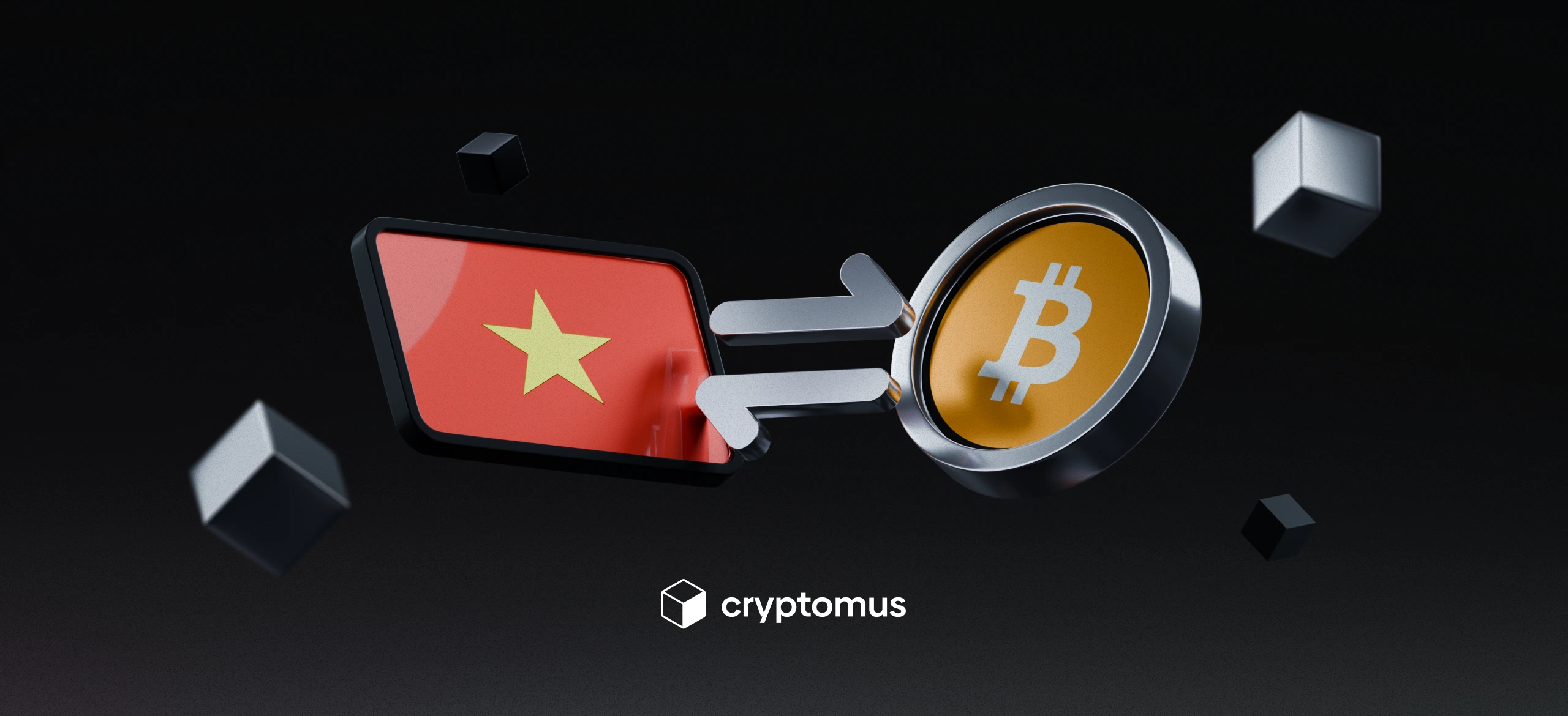 How to Transfer Money to Vietnam and Vice Versa?