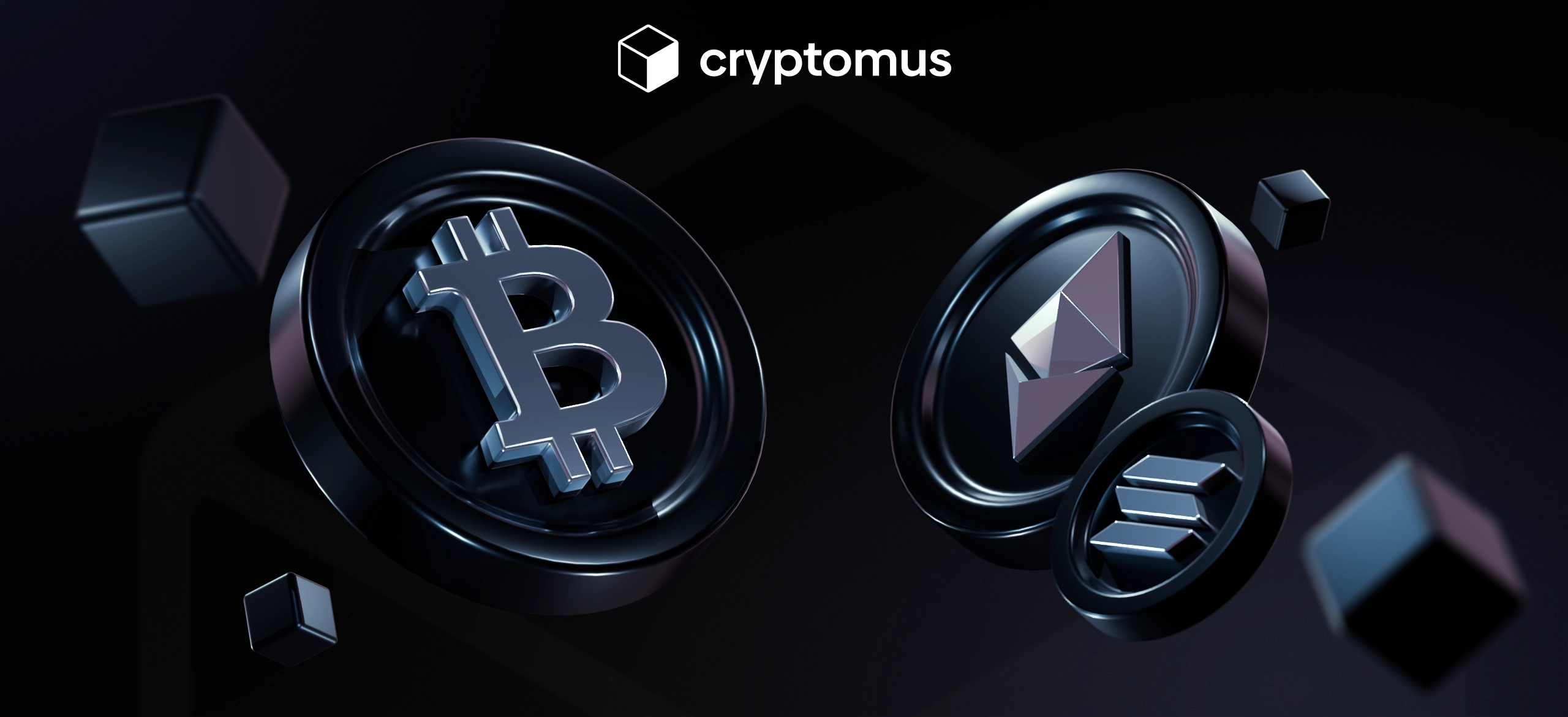 비트코인 vs 알트코인