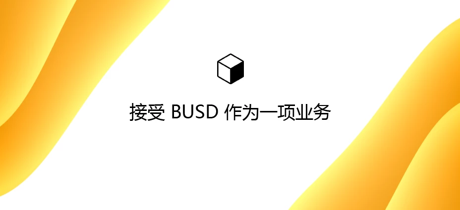 接受 BUSD 作为一项业务:如何在您的网站上以比特币美元收款?