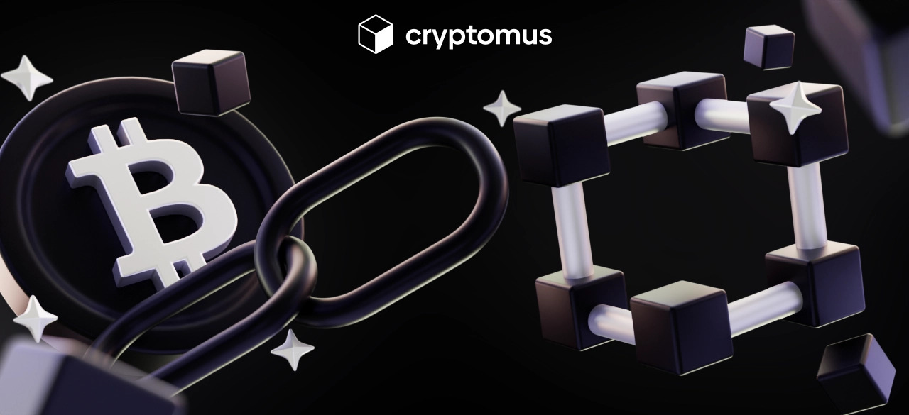 что такое узлы блокчейна