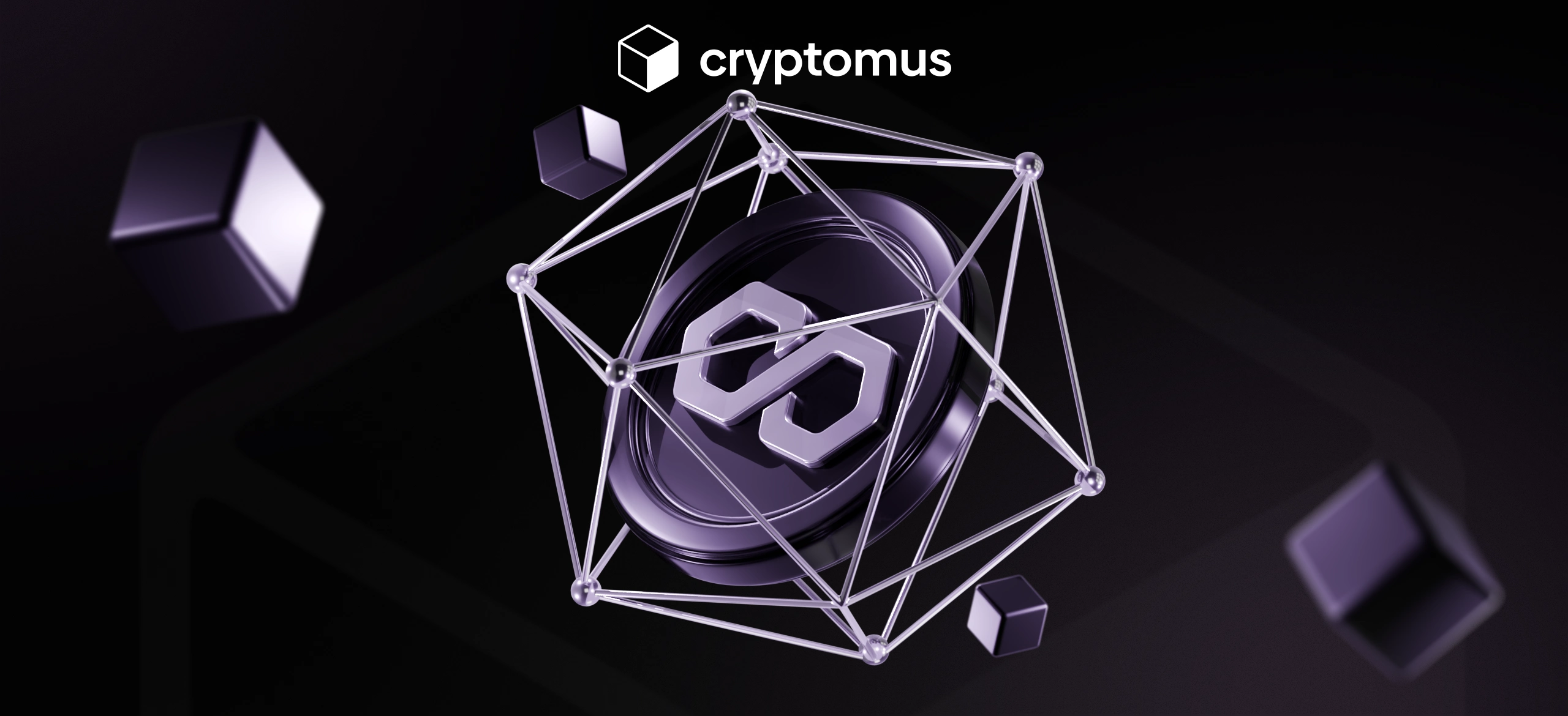 Ist Polygon dezentralisiert oder zentralisiert?