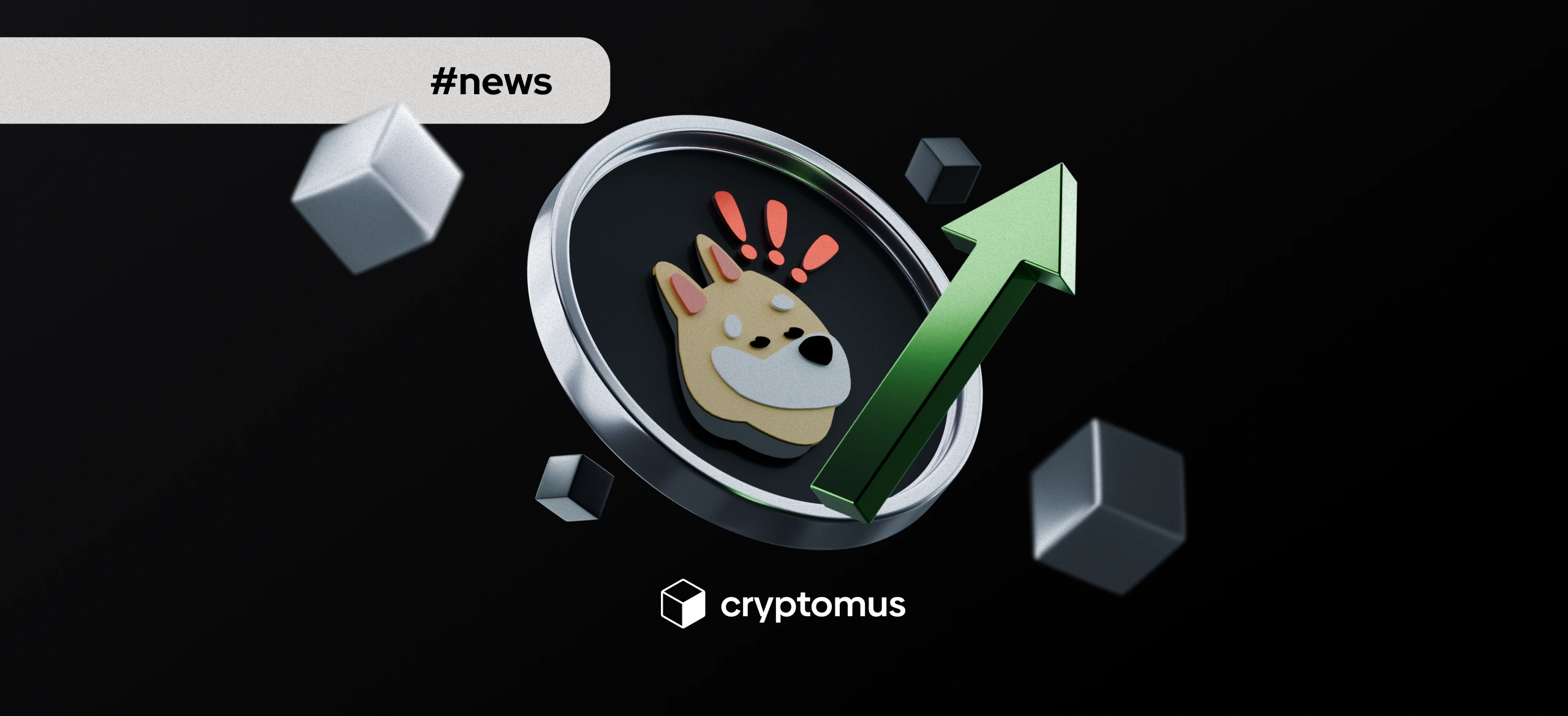 왜 오늘 봉크가 올랐을까? ETF 소식이 21% 급등을 촉발하다