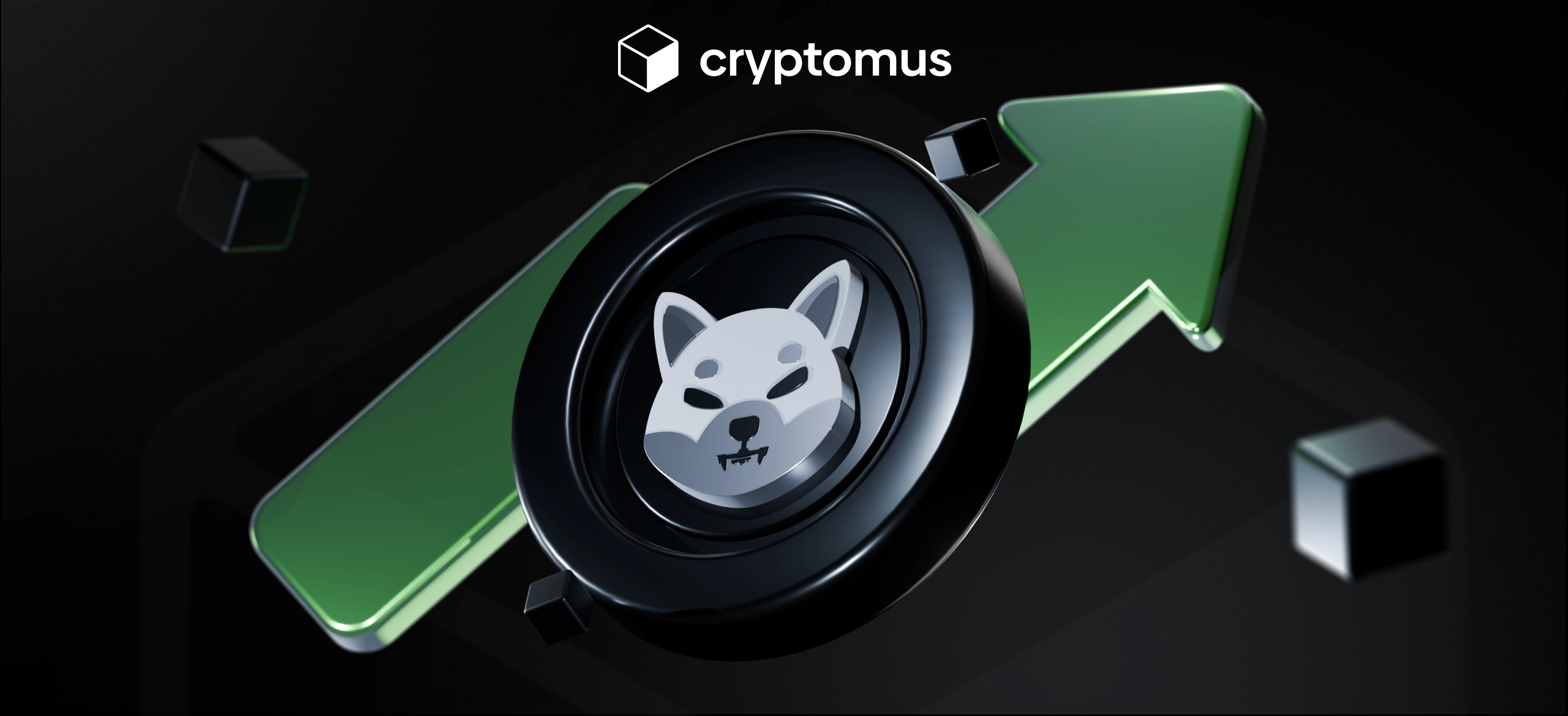 지금과 장기적으로 시바이누코인은 좋은 투자일까요?