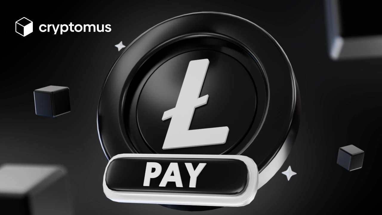 How to pay with Litecoin