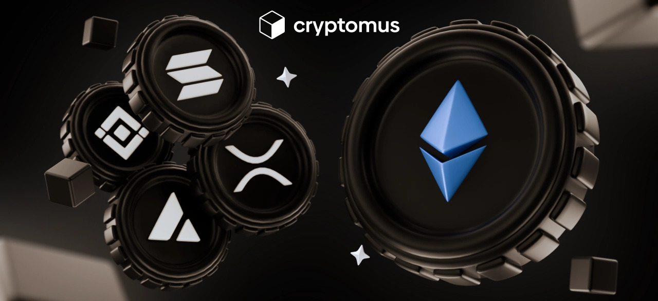 كيفية قبول مدفوعات العملات البديلة