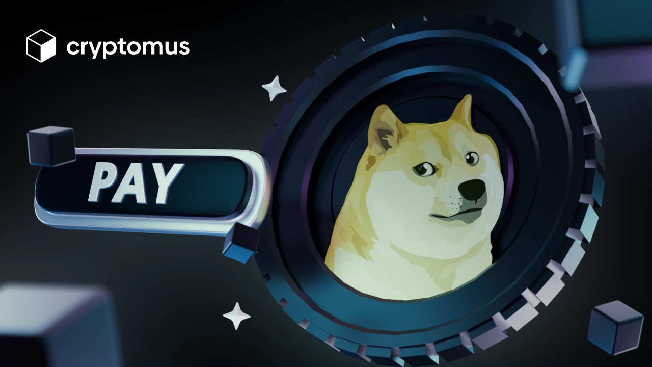 Dogecoin bilan qanday toʻlash mumkin