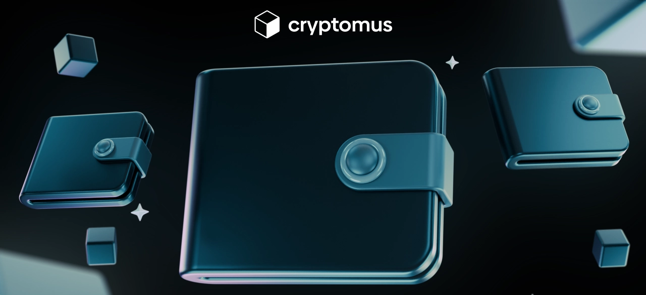 Kripto para cüzdanı nedir | Kapsamlı Rehber