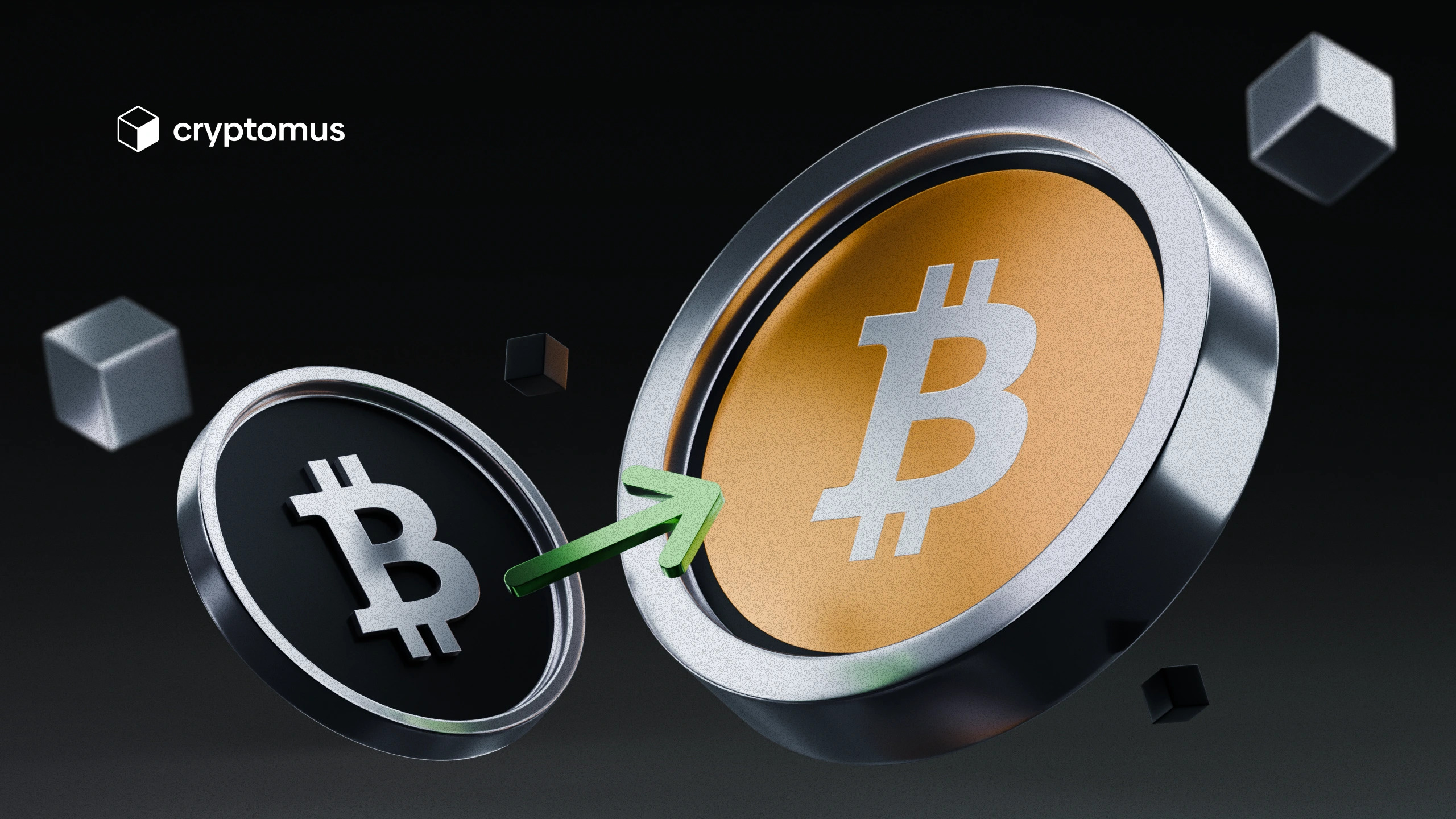 
What Crypto Is the Next Bitcoin