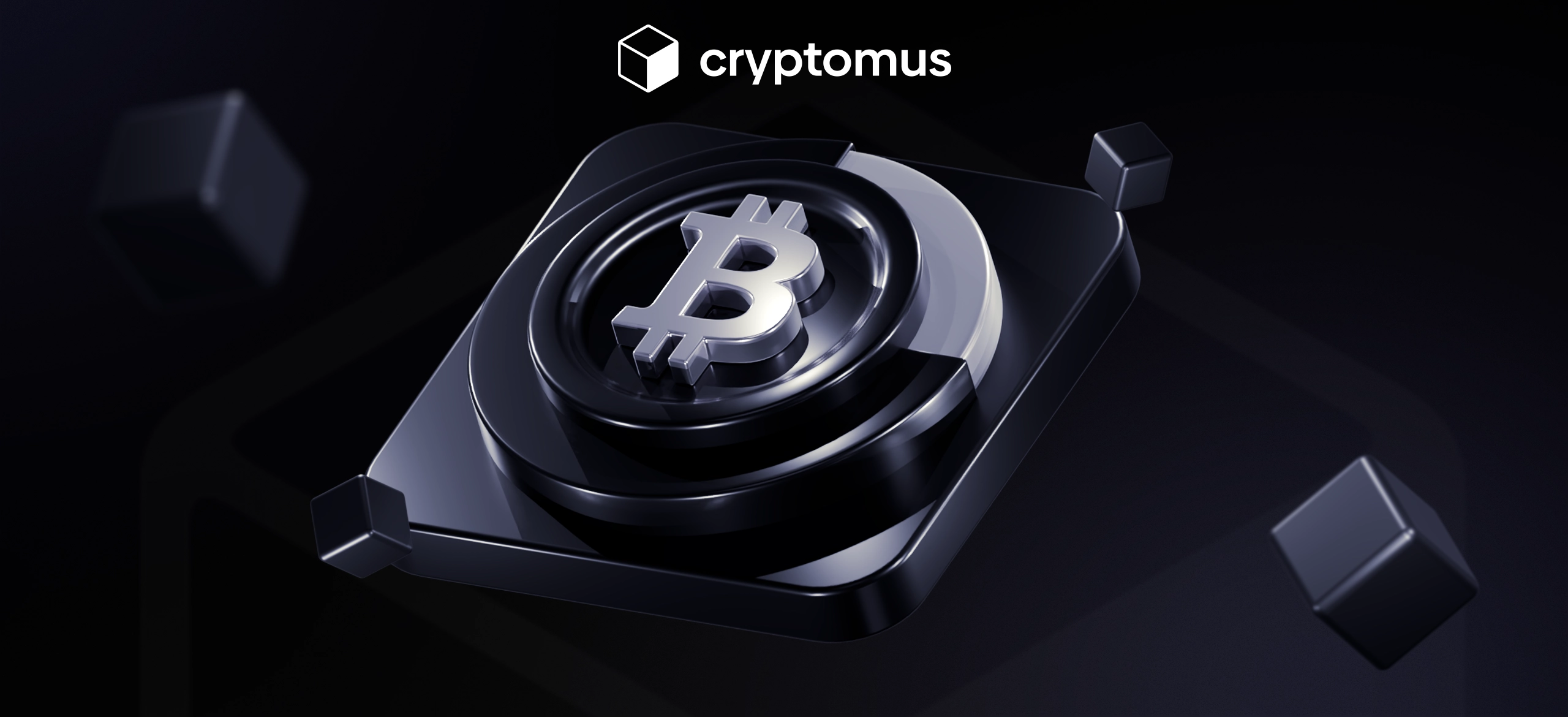 Combien Devriez-vous Investir dans les Cryptomonnaies ?