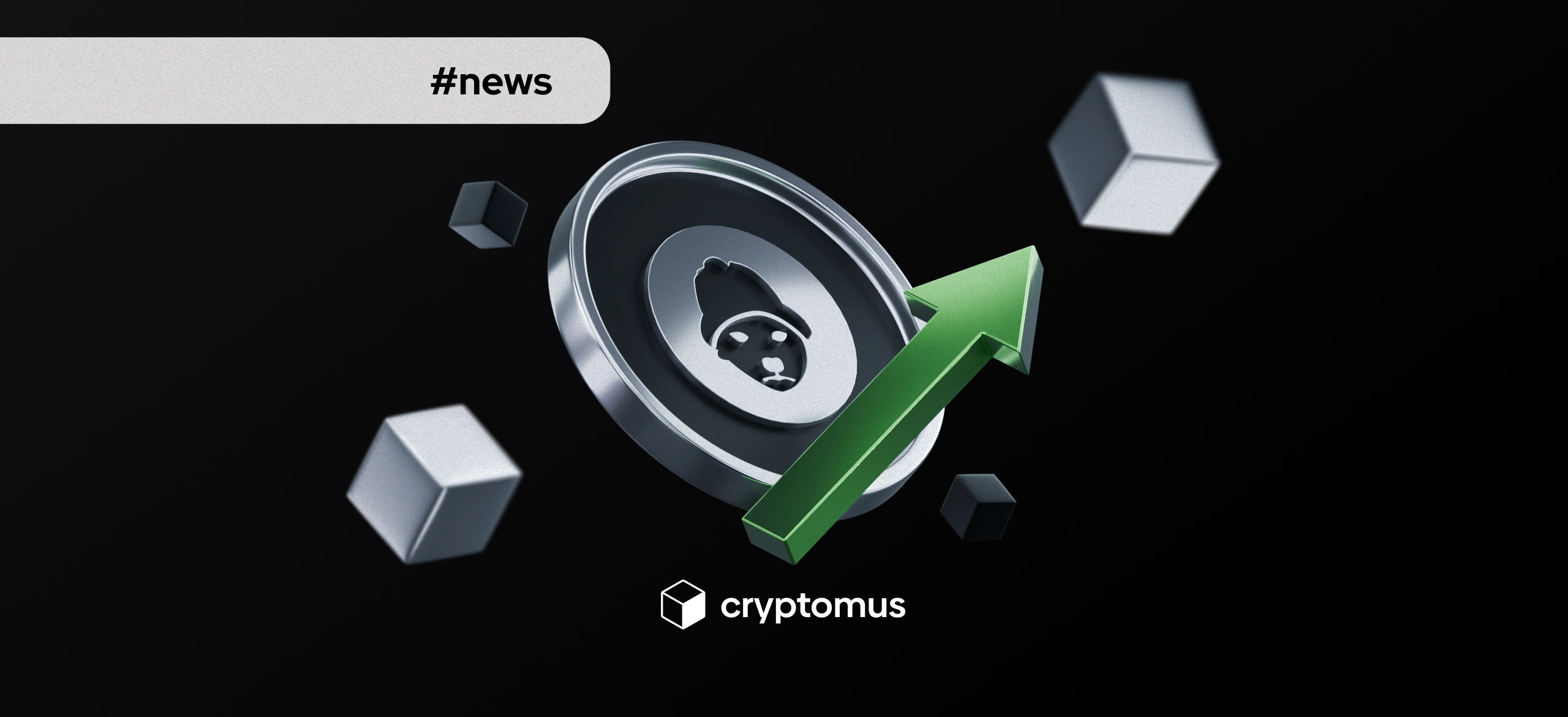 Dogwifhat เพิ่มขึ้น 15% ในหนึ่งวันและทะลุระดับแนวต้าน