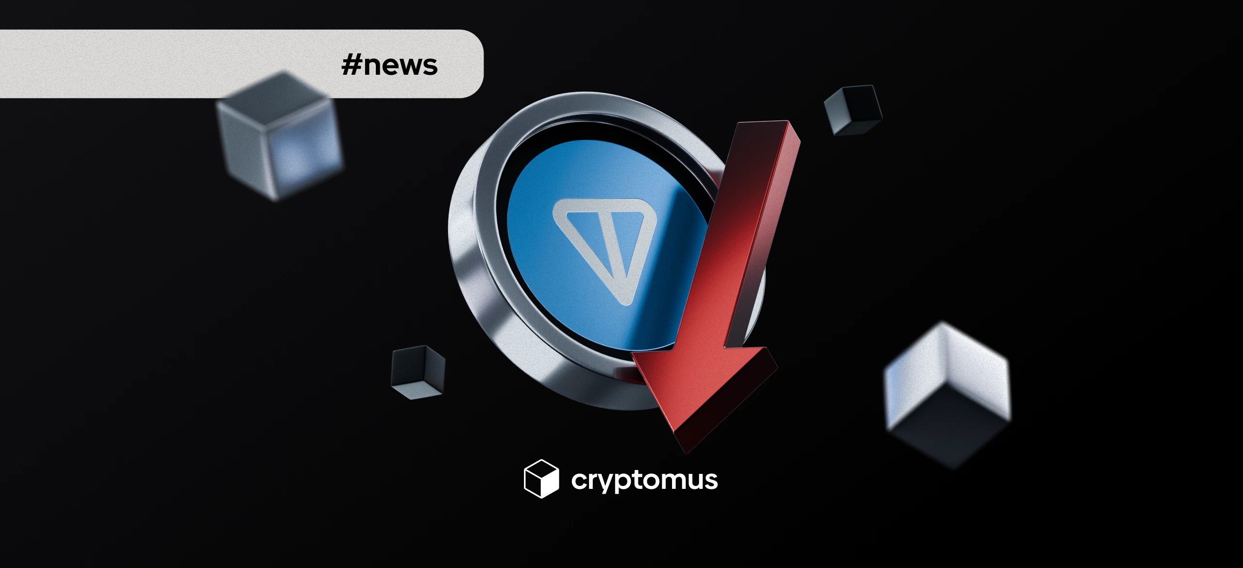 Toncoin cae un 7% tras el anuncio del tesoro de $558 millones y la actividad de las ballenas