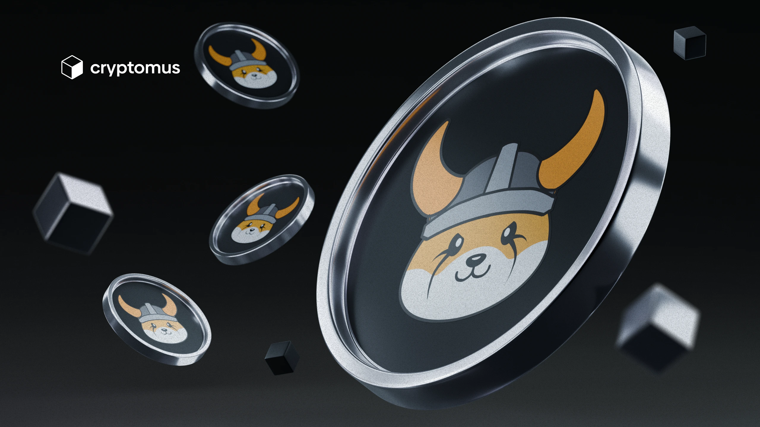 What Is Floki Inu Coin