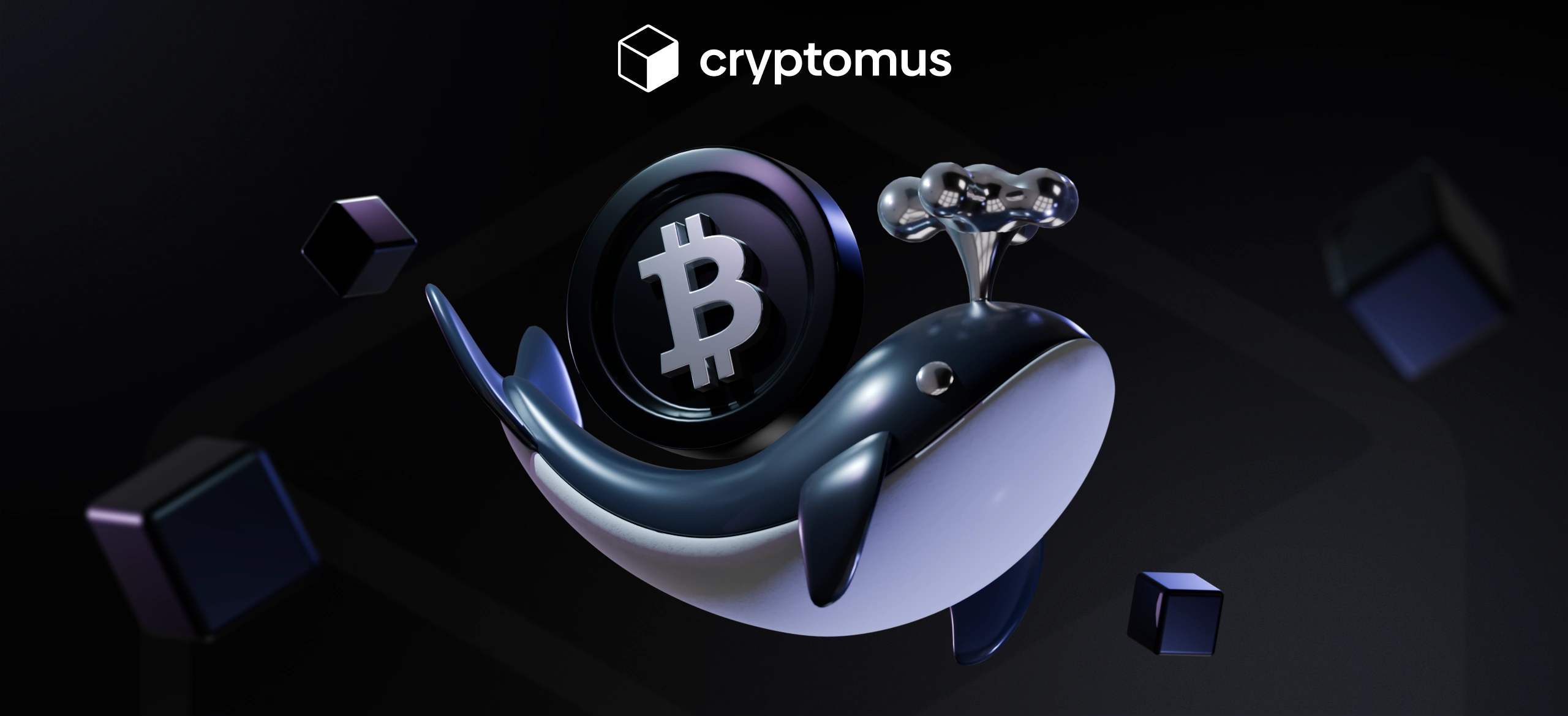 크립토 고래: 누가 가장 많은 비트코인을 보유하고 있을까?