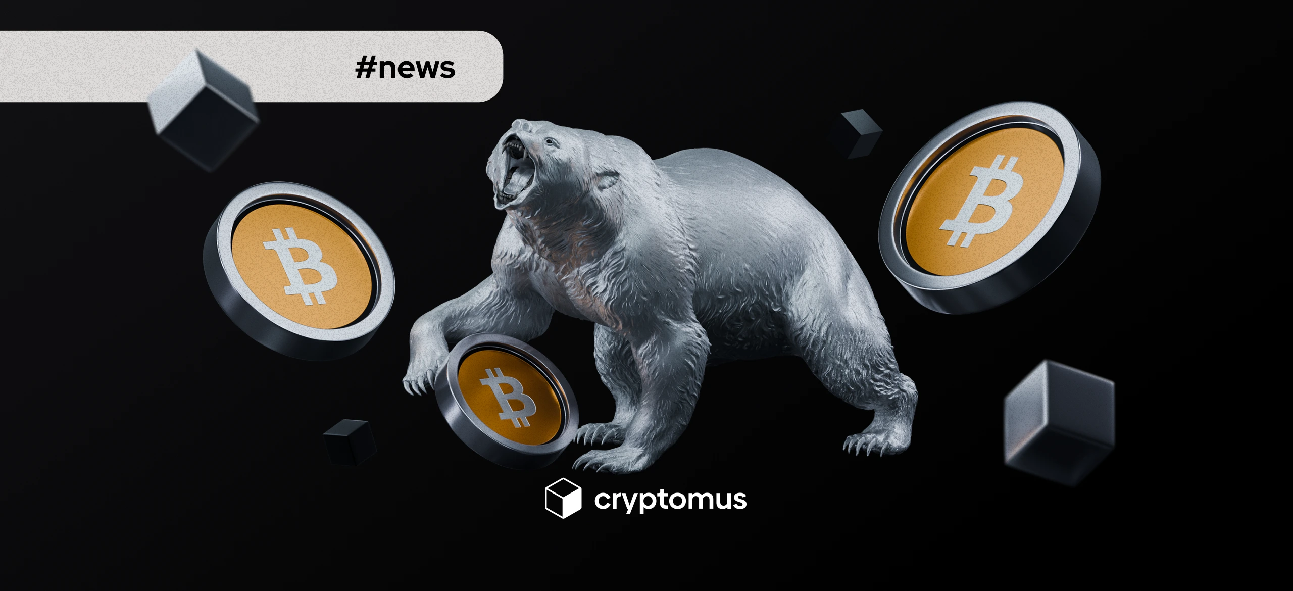 storage.cryptomus.com/fzhyQLVP0G2jgbVfe14o18iNTduf...