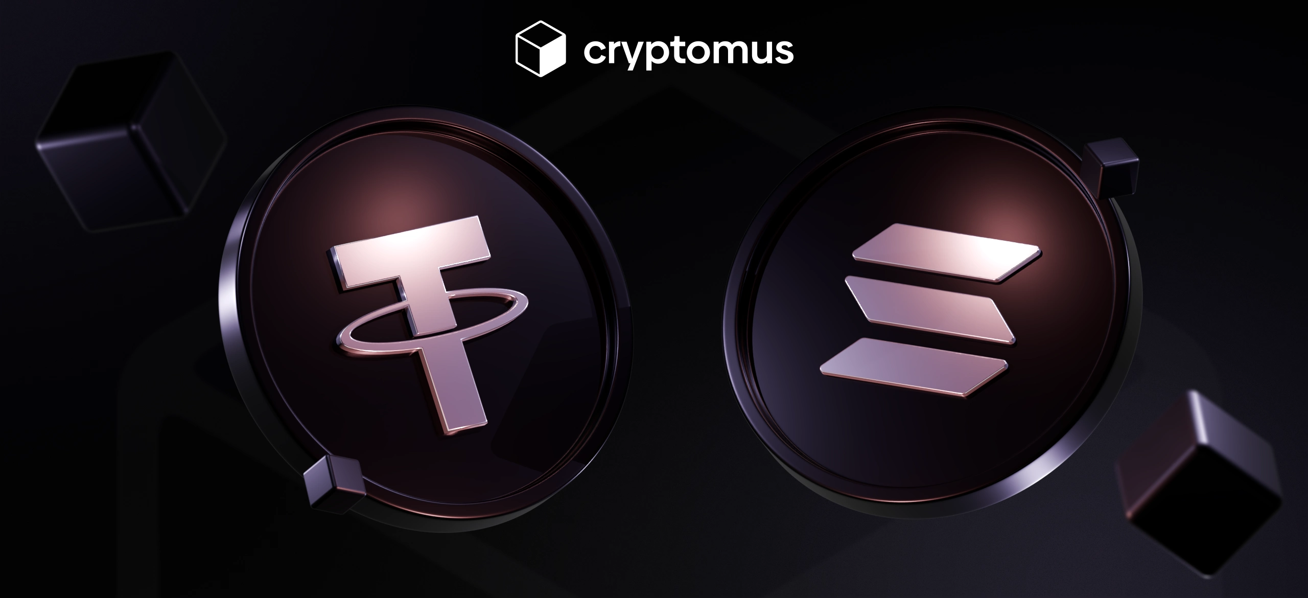 アルトコイン vs ステーブルコイン