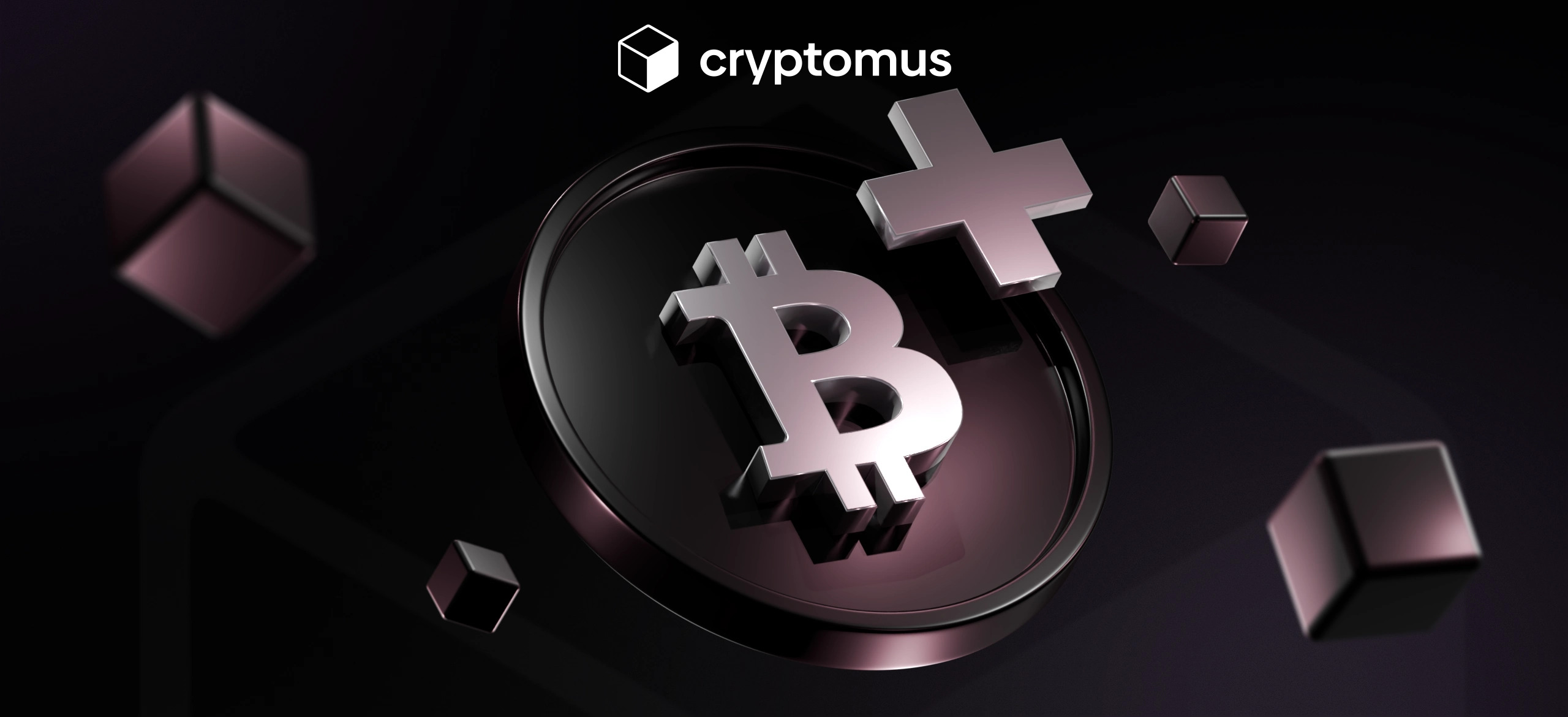 지갑 주소란 무엇이며 어떻게 찾나요? • 블로그 Cryptomus