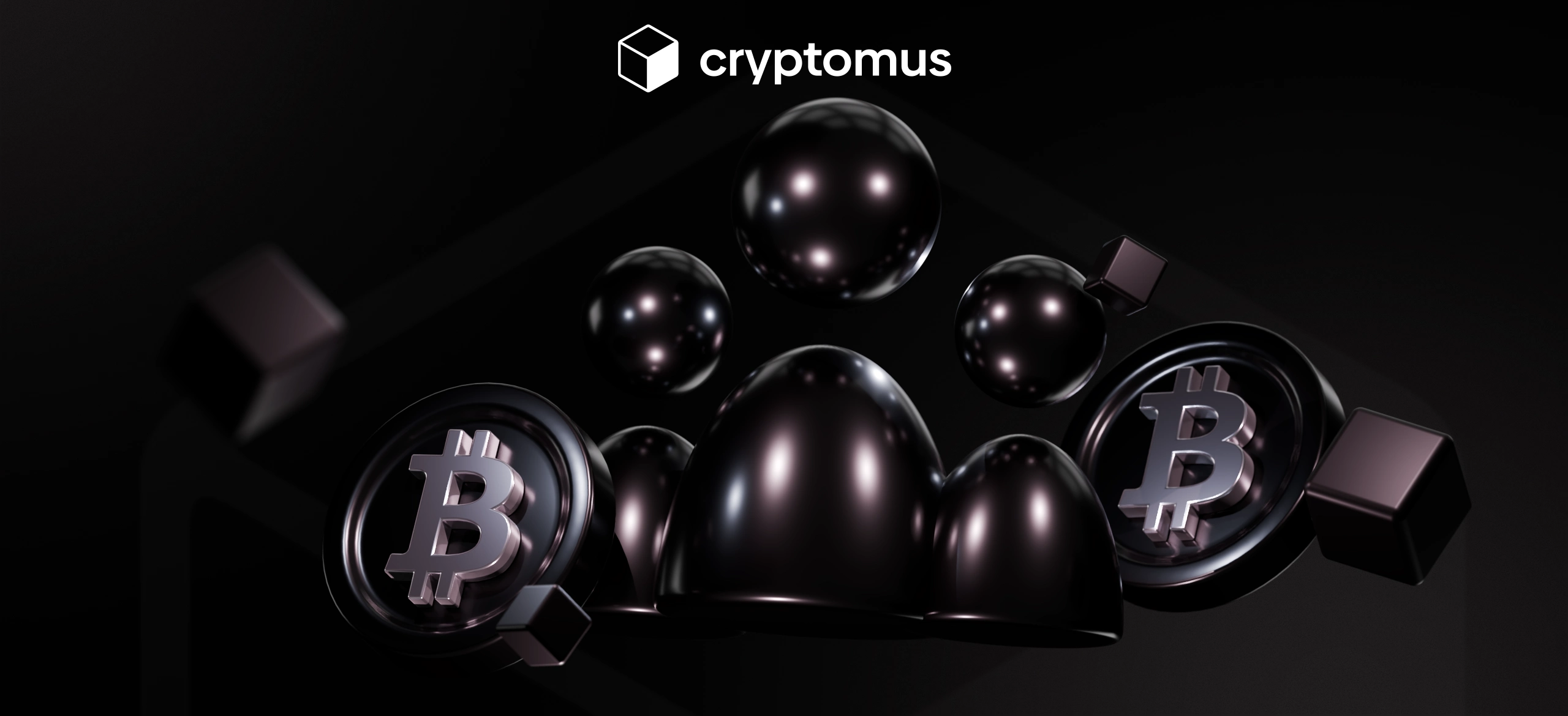 국가별 암호화폐 소유자 수