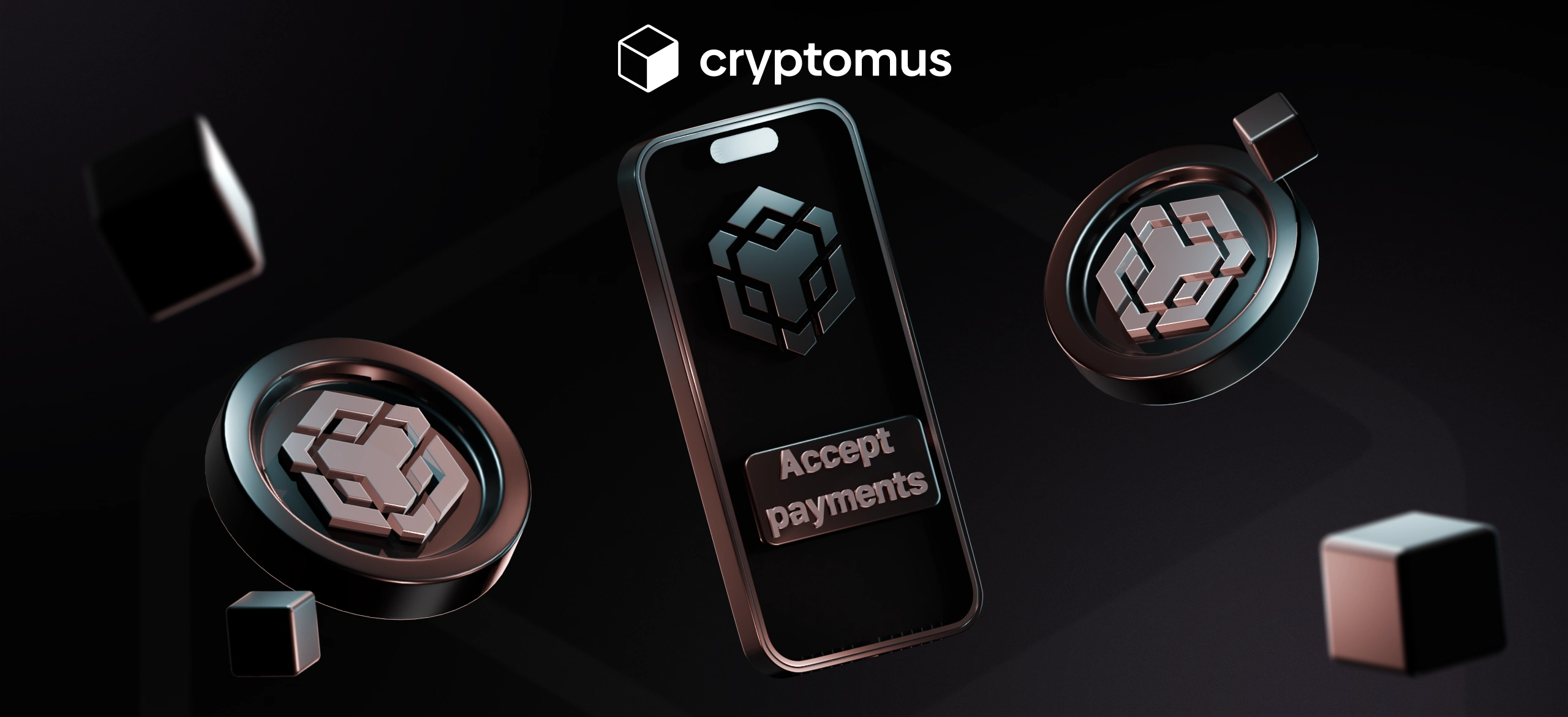 Cara Menerima Pembayaran Binance Coin (BNB)