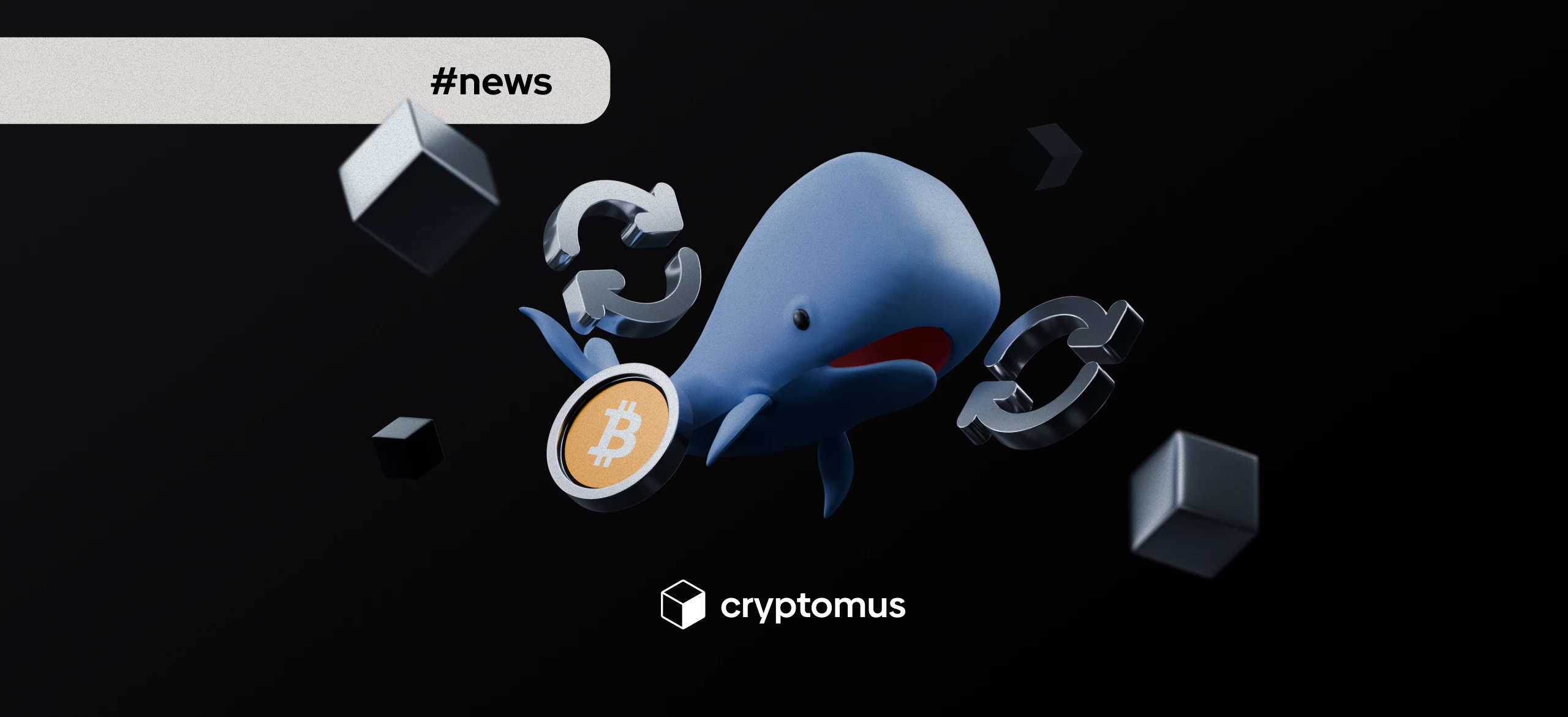 Baleia de Bitcoin da Era Satoshi Movimenta Moedas pela Primeira Vez desde 2009