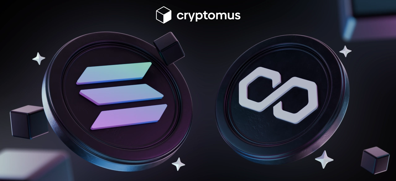 سولانا در مقابل چند ضلعی: مقایسه کامل