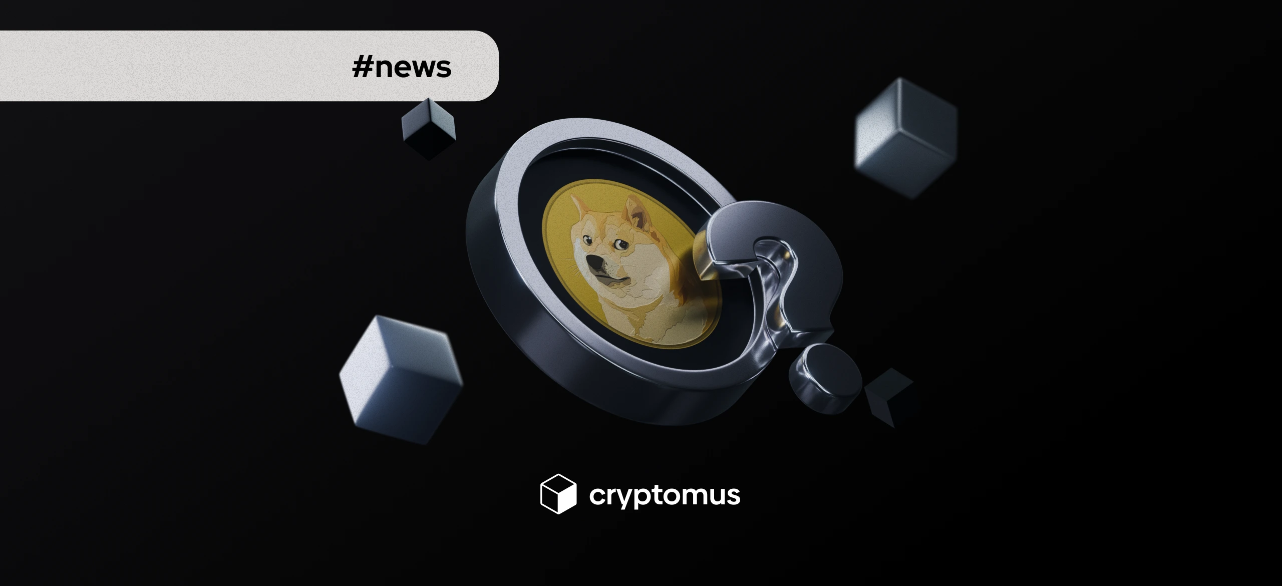 دوجكوين يواجه أصعب ربع رابع منذ سنوات: هل يمكن أن يتعافى قبل 2026؟