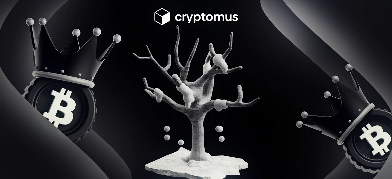 क्या क्रिप्टो विंटर खत्म हो गया है? क्रिप्टोकरेंसी बाजार की वर्तमान स्थिति और आगे क्या होने वाला है, इसका आकलन