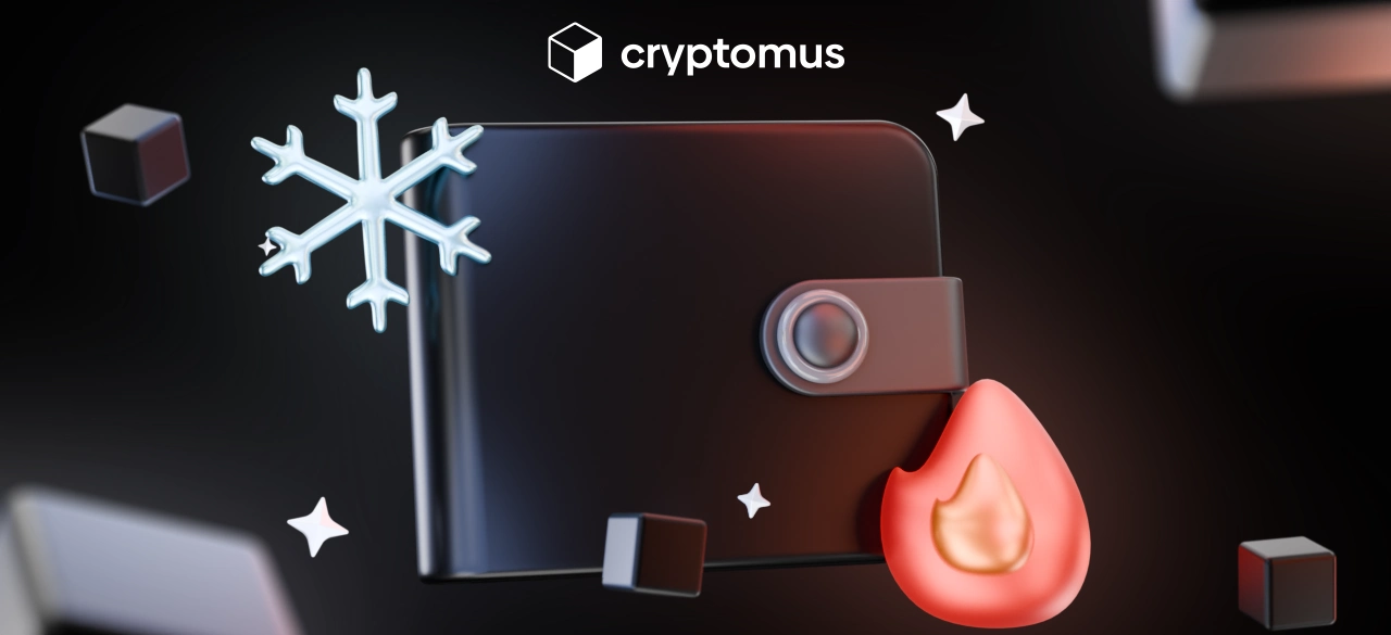 Hot Wallet vs Cold Wallet