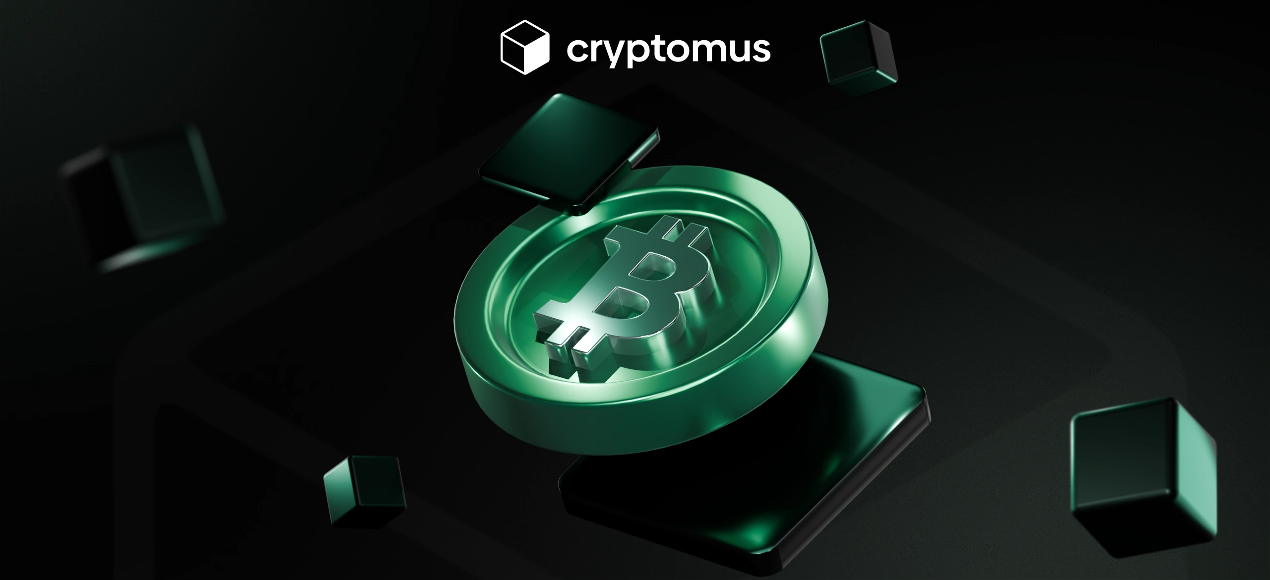 كيفية قبول مدفوعات Bitcoin Cash (BCH)