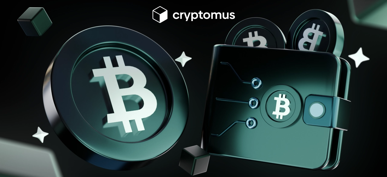 Melhor carteira encriptada para empresas