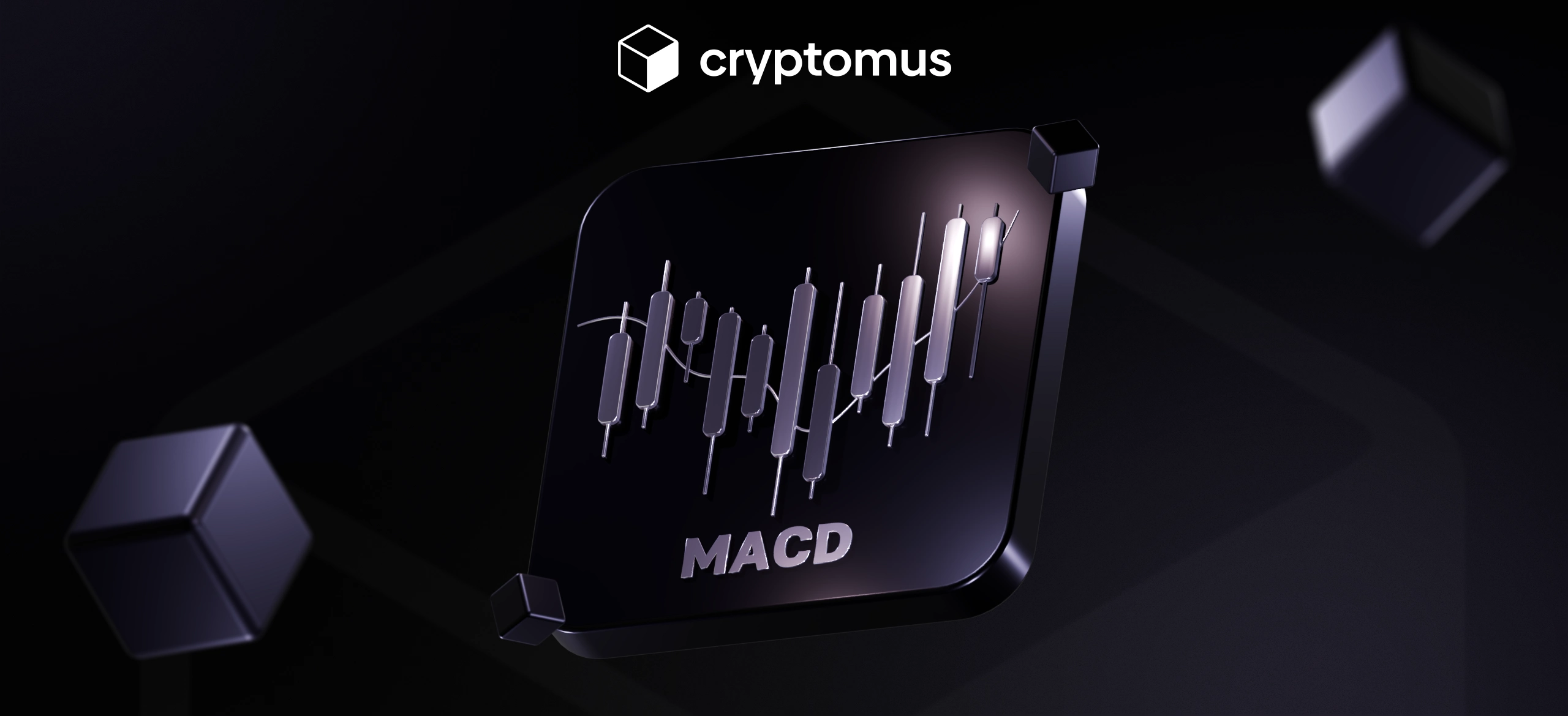 비트코인 지갑이란 무엇이며 어떻게 작동합니까 | 완벽 가이드