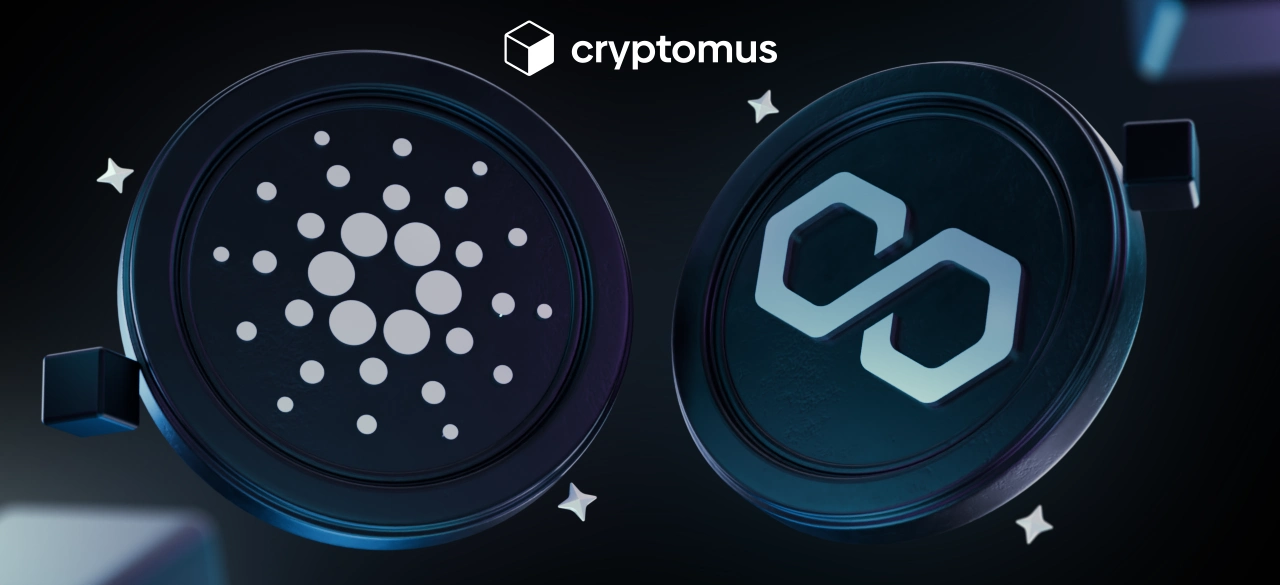 Cardano Vs Polygon: Uma Comparação Completa