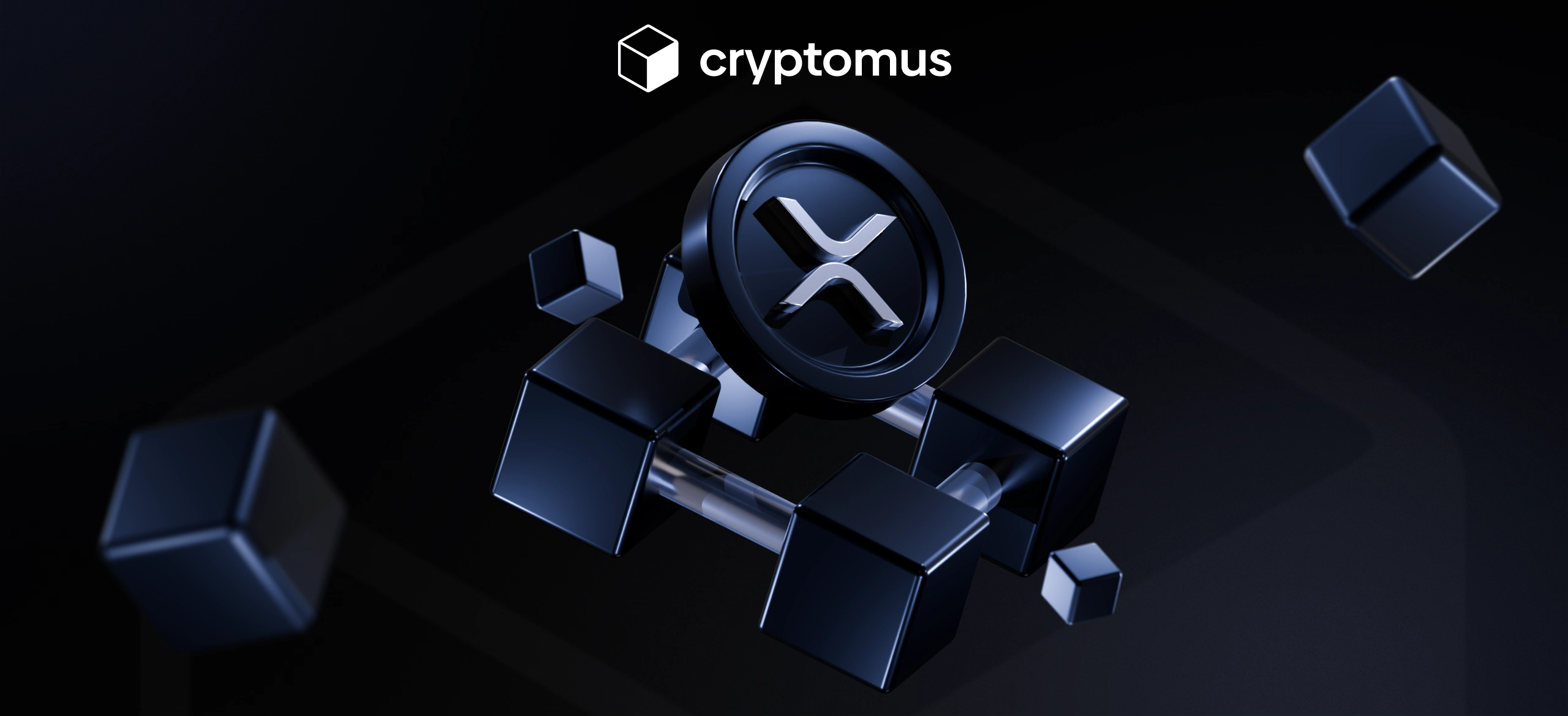 هل XRP لامركزي أم مركزي؟