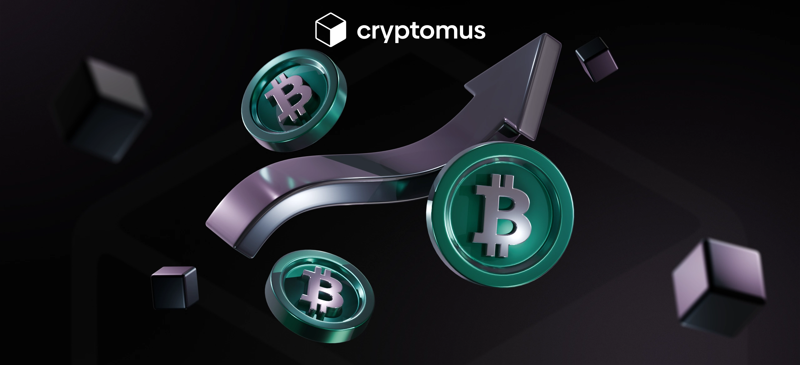 비트코인 캐시 지금 사야 할까요?