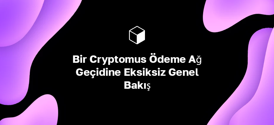 Bir Cryptomus Ödeme Ağ Geçidine Eksiksiz Genel Bakış